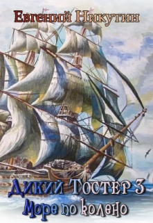 Дикий Тостер 2. Море по колено. Евгений Никутин