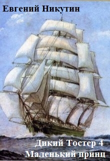 Дикий Тостер 3. Маленький принц. Евгений Никутин