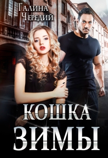 Кошка Зимы Чередий Галина