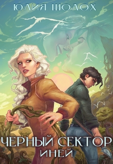 Чёрный сектор. Иней Юлия Шолох