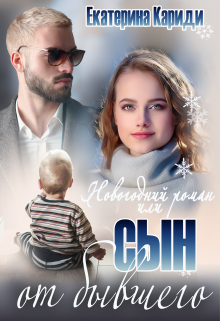 Новогодний роман, или Сын от бывшего Екатерина Кариди