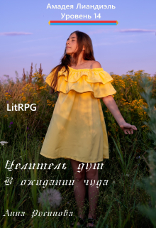 Целитель душ 2. В ожидании чуда Анна Русинова