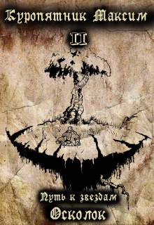 Путь к звездам. Книга 2.Осколок Куропятник Максим