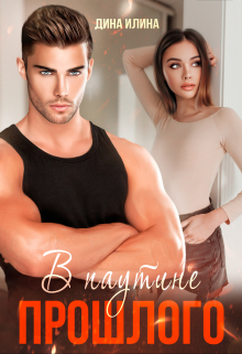 В паутине прошлого Дина Илина