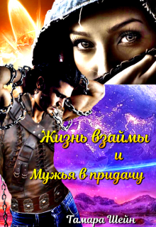 Жизнь взаймы и Мужья в придачу Тамара Шейн