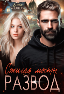 Сжигая мосты. Развод Елена Левашова