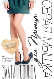 Серая мышка для Принца Злата Соккол