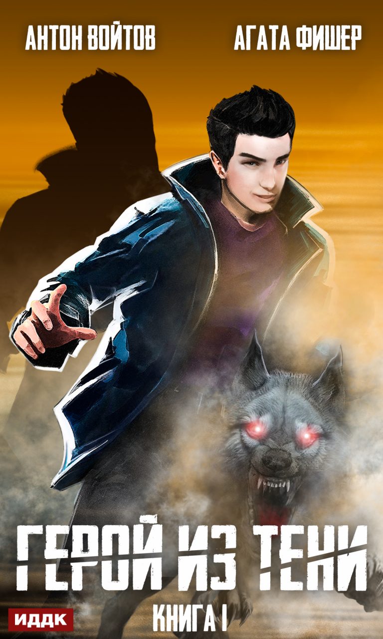 Герой из тени. Книга 1 ИДДК