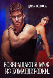 Возвращается муж из командировки… Дарья Волкова