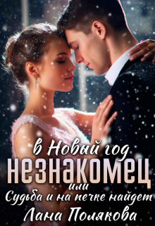Незнакомец в Новый год или судьба и на печке найдет Лана Полякова