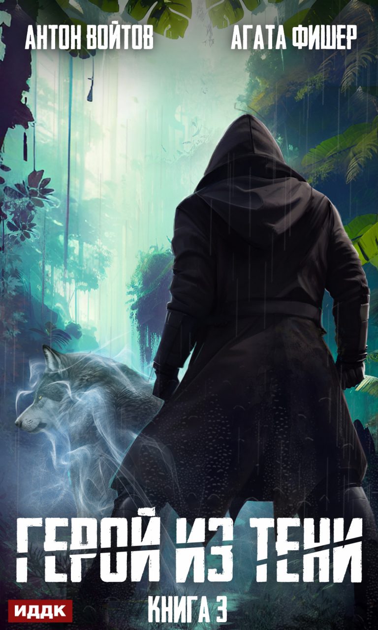 Герой из тени. Книга 3 ИДДК
