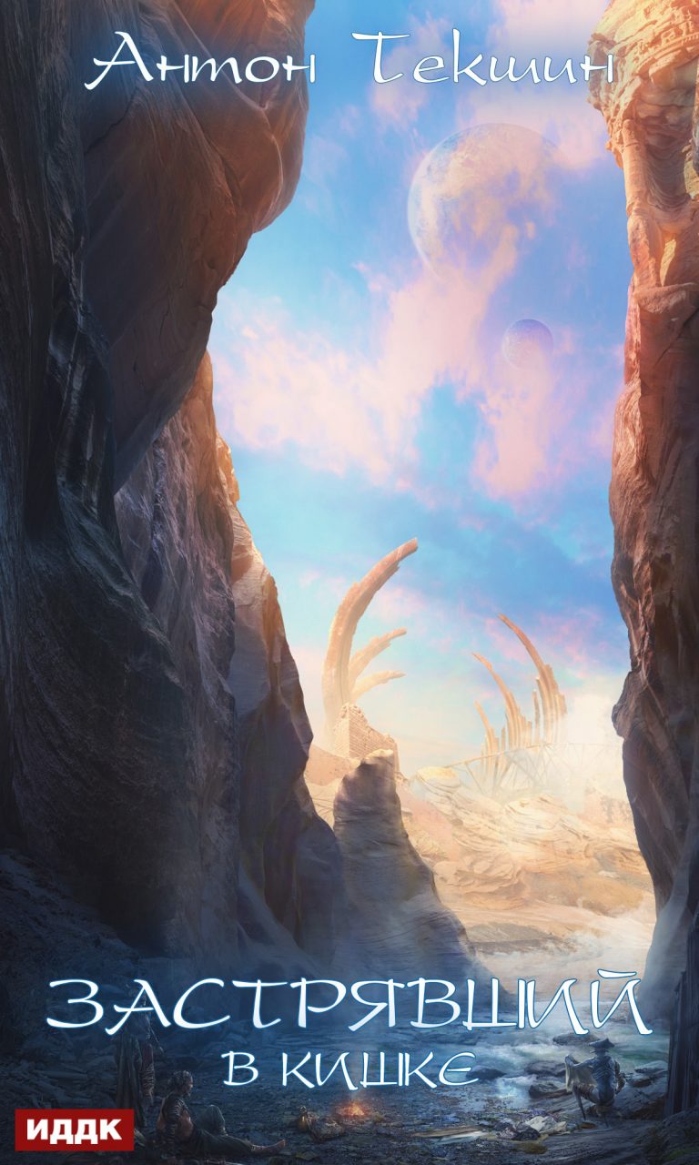 Застрявший. Книга 3. Застрявший в Кишке ИДДК