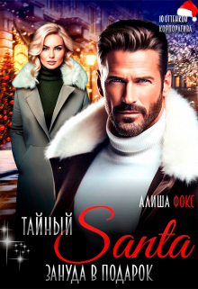 Тайный Санта. Зануда в подарок Алиша Фокс