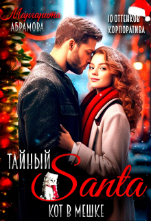 Тайный Санта. Кот в мешке Маргарита Абрамова