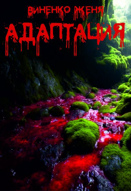 Адаптация Женя Виненко