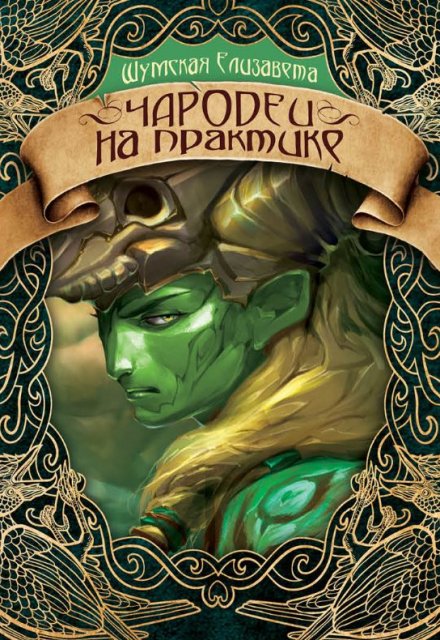Чародеи на практике Елизавета Шумская