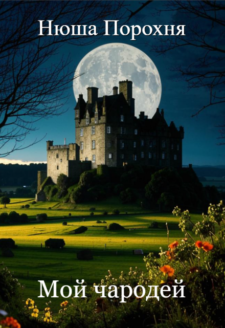Мой чародей Нюша Порохня