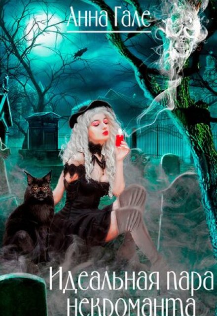 Идеальная пара некроманта Анна Гале