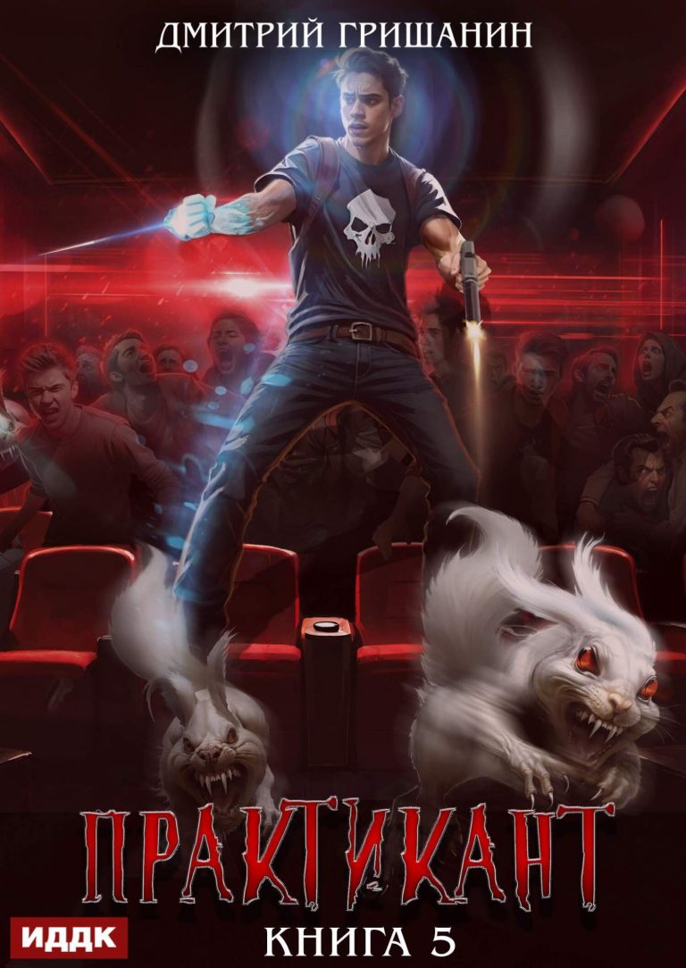 Практикант. Книга 5 ИДДК