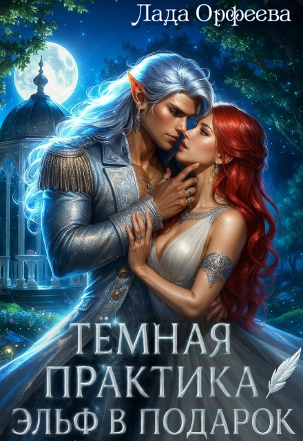 Тёмная практика. Эльф в подарок Лада Орфеева