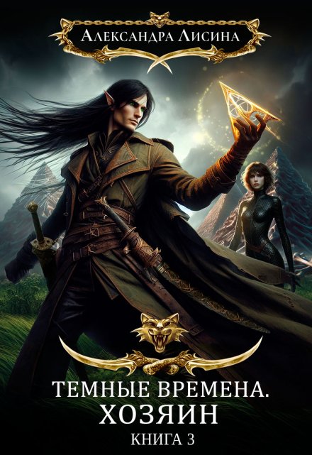 Темные времена-3. Хозяин Александра Лисина