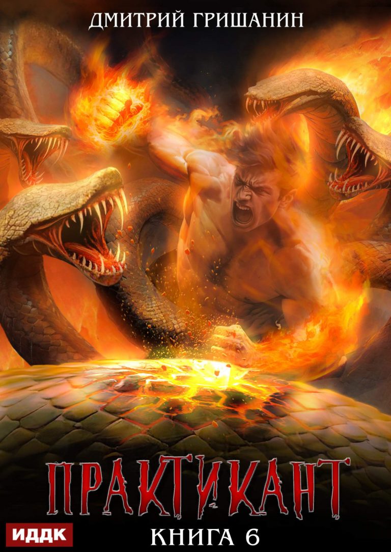 Практикант. Книга 6 ИДДК